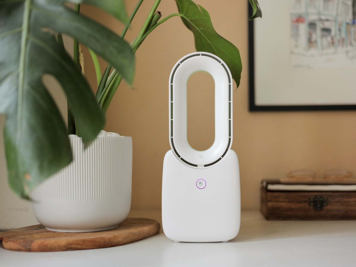 A white air purifier on a console table beside a plant